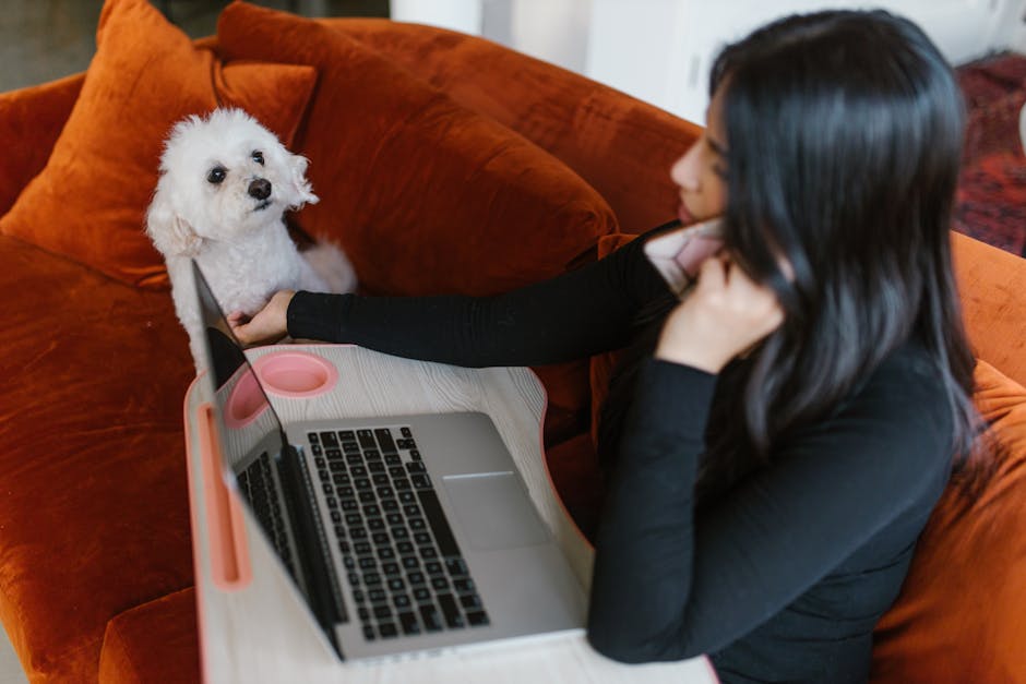 Call Forwarding Strategies for Small Businesses